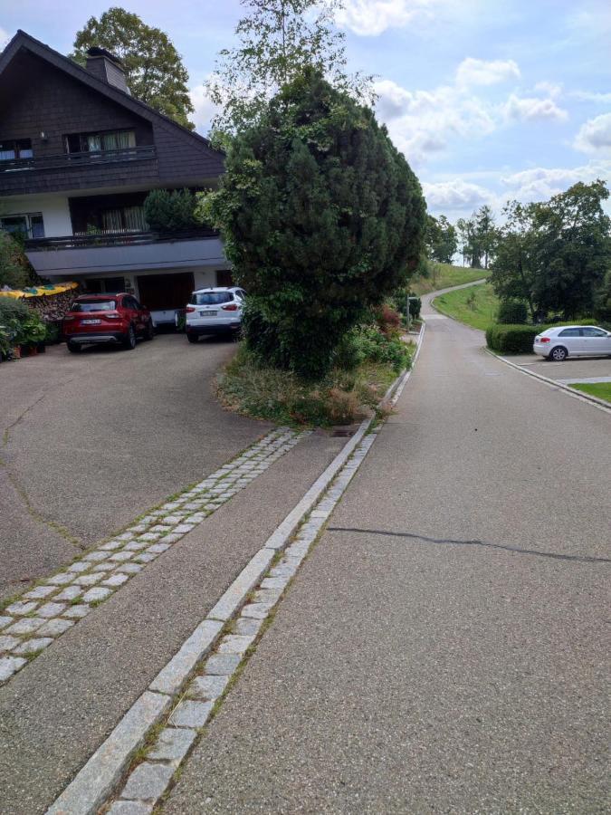 Feldbergsicht Lenzkirch